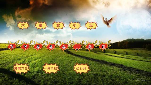 全车改装套件 第28页