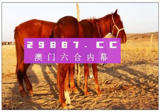 澳门六开彩天天免费开奖|平稳释义解释落实,澳门六开彩天天免费开奖，平稳释义、解释与落实